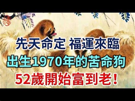 1970屬狗五行缺什麼|屬狗人必看：1970五行解析